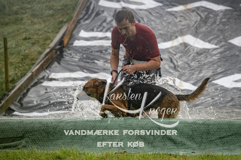 1048_ZZ91739 | kk-dogfotos