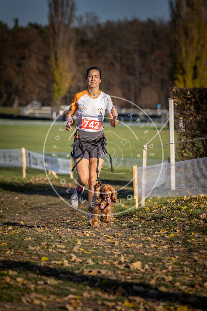 CaniXpix_DV3A2289 | Hundefotografie, Tierfotograf, Pfotenfotografie, Fotoshooting Hund, Hunde Portrait, Hundesport, Hundeportraits, Heideshooting, Hunde, Sportfotograf, Hundefotograf, Turnierhundsport, THS,  - Realisiert mit Pictrs.com