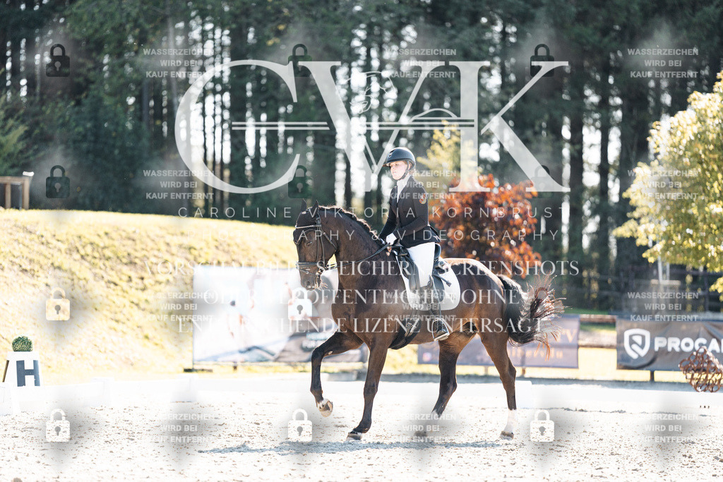CK905862 | Turnierfotografie Pferdefotografie Trier Rheinland-Pfalz Pferdesport Reitsport Tierfotografie Sportfotografie Pferdevideo Pferdevideografie Equestrianvideography equestrianphotography  - Realisiert mit Pictrs.com