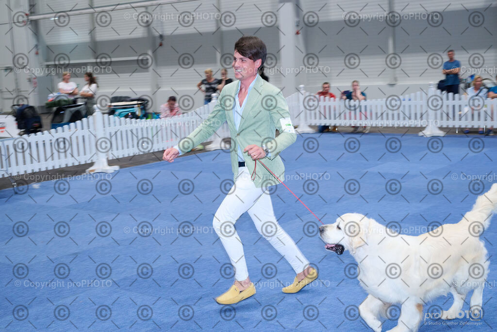 202406_ÖKV-IHA-Tulln24_NZ9_9602 | proPHOTO - Realisiert mit Pictrs.com