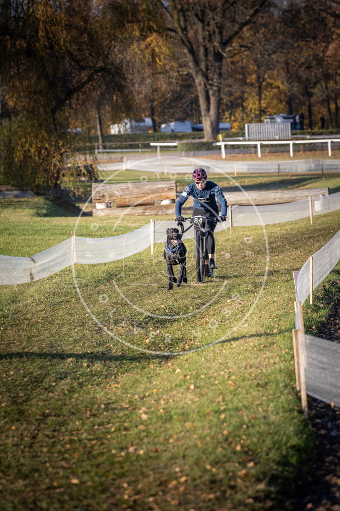 CaniXpix_DV3A1641 | Hundefotografie, Tierfotograf, Pfotenfotografie, Fotoshooting Hund, Hunde Portrait, Hundesport, Hundeportraits, Heideshooting, Hunde, Sportfotograf, Hundefotograf, Turnierhundsport, THS,  - Realisiert mit Pictrs.com