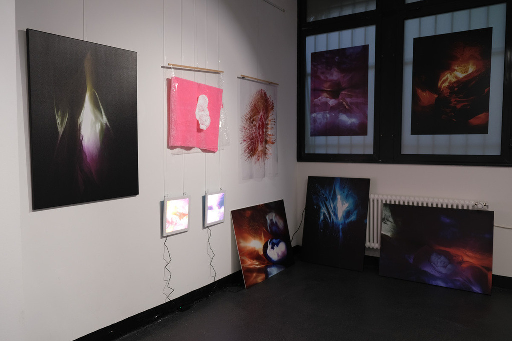 Impressionen Ausstellung | cornelia-geissler - Realisiert mit Pictrs.com