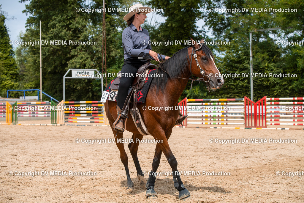 EWP_6171 | dv-media-shop - Realisiert mit Pictrs.com