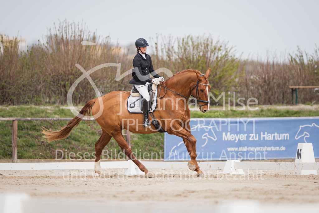 230410_Frühlingsfest_A-Dressur-413 | Deine schönsten Turniermomente als professionelle Fotos! Entdecke hochwertige Pferdesport-Fotografie im Online-Shop. Jetzt Fotos finden & bestellen!