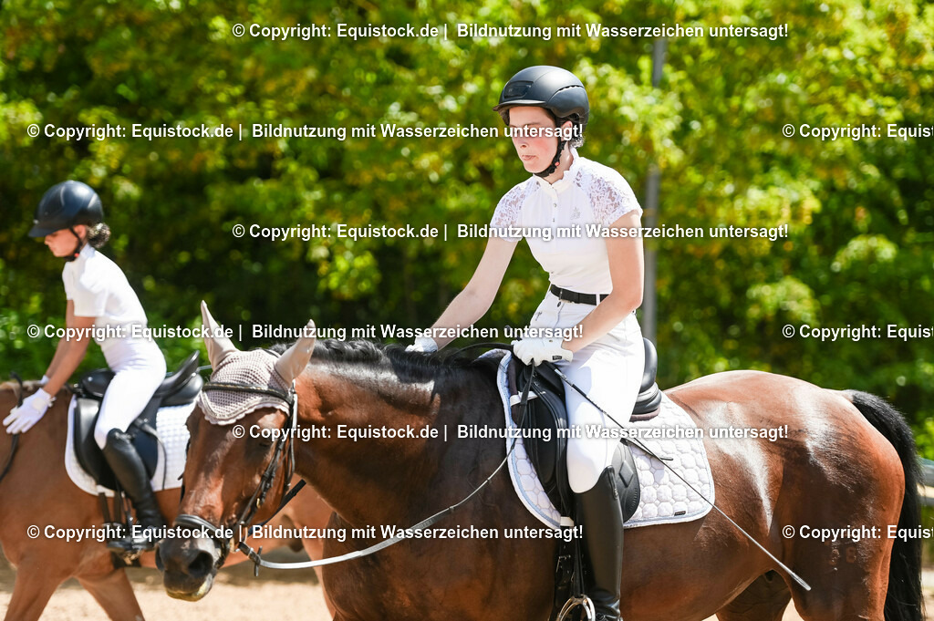 20230715_09_Dressur-WB_0296 | equistock