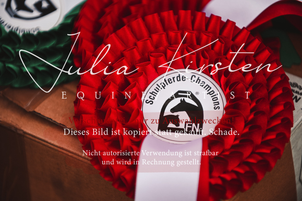 DSC_6134 | Pferde- und Turnierfotografie in Westsachsen. Pferdeportraits, Auftragszeichnungen und intuitive Kunst.