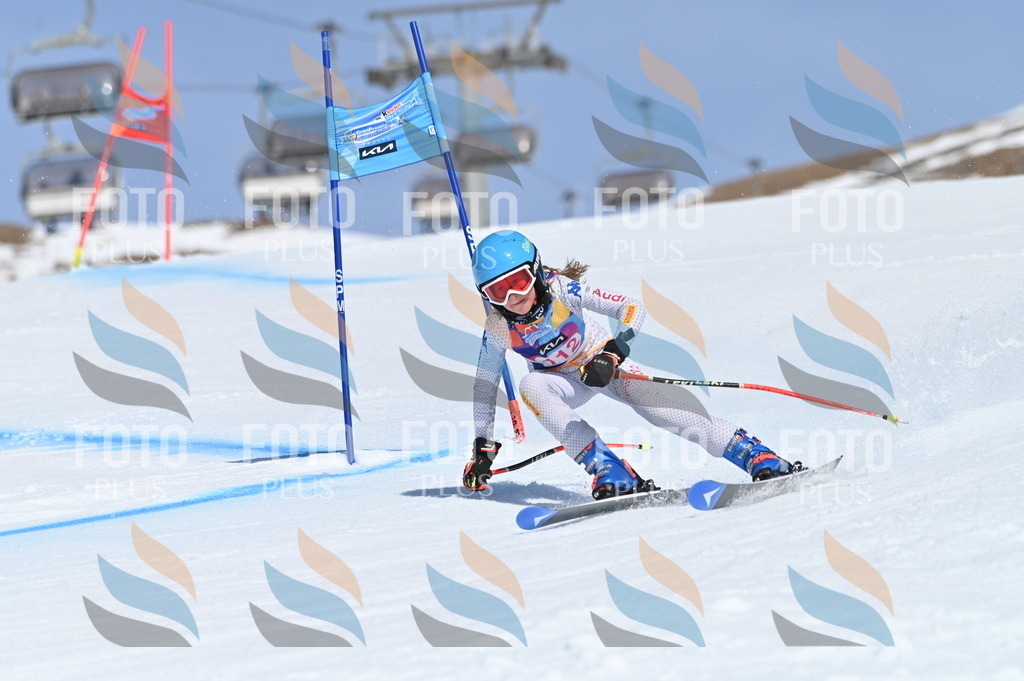 BGV_9664 | holidayphoto