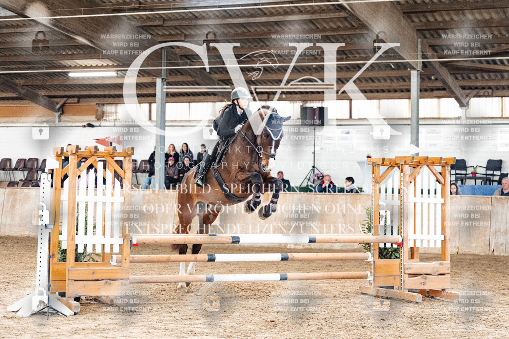 CK904429 | Turnierfotografie Pferdefotografie Trier Rheinland-Pfalz Pferdesport Reitsport Tierfotografie Sportfotografie Pferdevideo Pferdevideografie Equestrianvideography equestrianphotography  - Realisiert mit Pictrs.com
