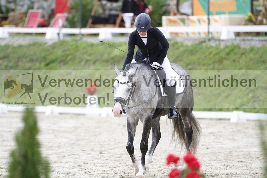 _MG_4453 | equestrian-live-com