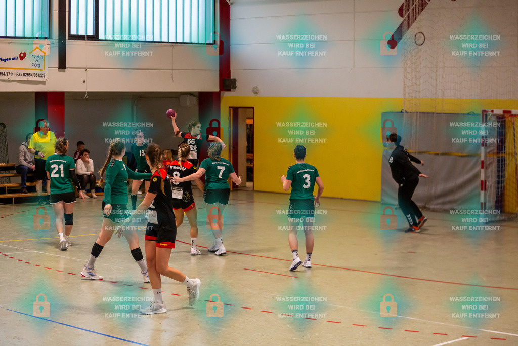 _HP_8390_3000o | TV Welling Damen vs. HSG Mertesdorf/Ruwertal 24.02.2024