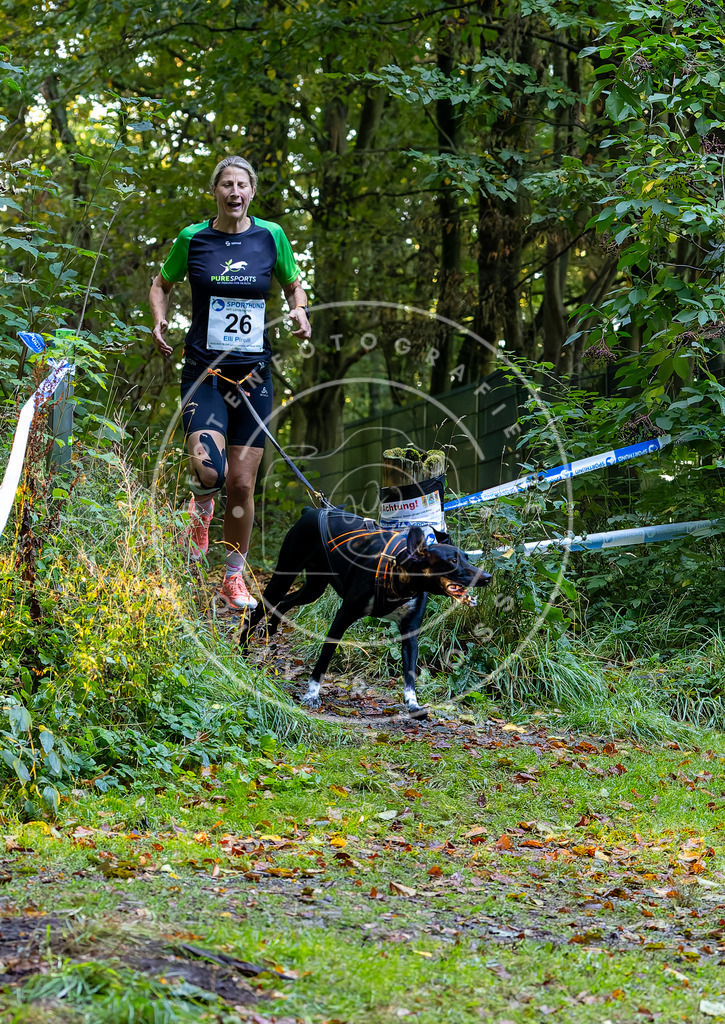 Pfotenfotografie_DV3A6567 | Hundefotografie, Tierfotograf, Pfotenfotografie, Fotoshooting Hund, Hunde Portrait, Hundesport, Hundeportraits, Heideshooting, Hunde, Sportfotograf, Hundefotograf, Turnierhundsport, THS,  - Realisiert mit Pictrs.com