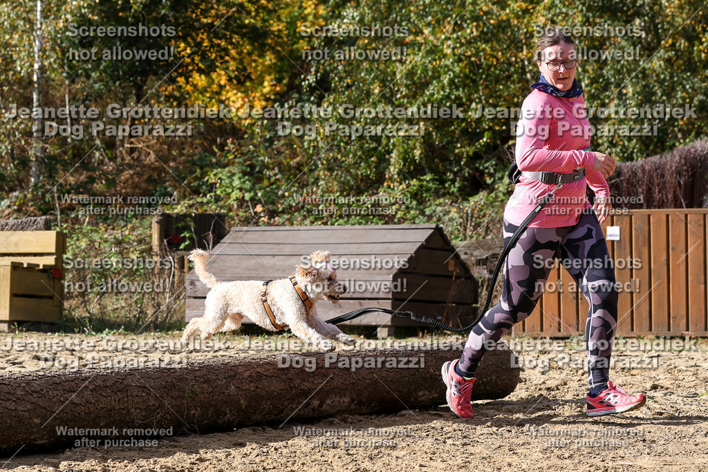 Dog Paparazzi - Strongdog 10-25-5529 | Dog Paparazzi Jeanette Grottendiek Fotografie & Videografie - Realisiert mit Pictrs.com