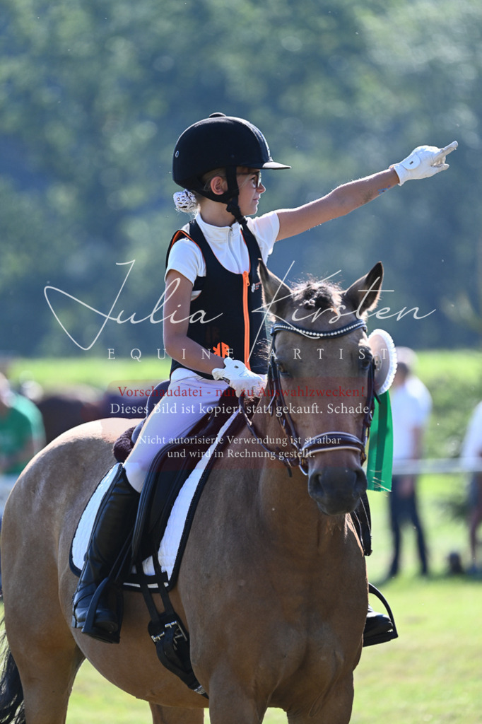 DSC_5377 | Pferde- und Turnierfotografie in Westsachsen. Pferdeportraits, Auftragszeichnungen und intuitive Kunst.