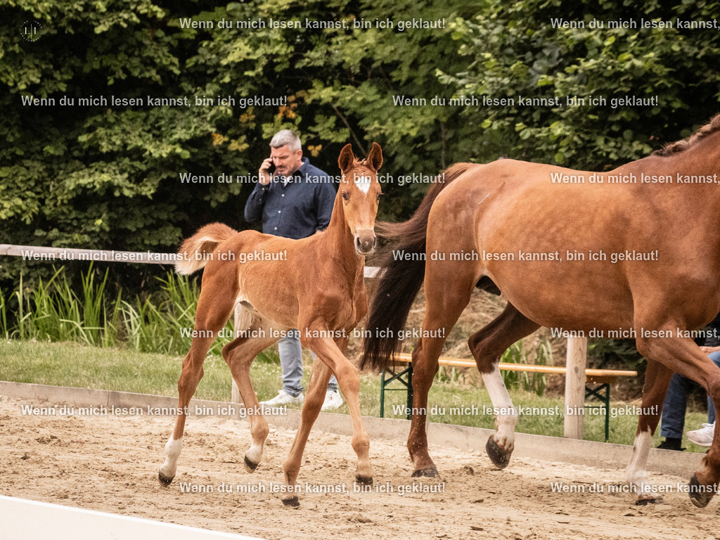 A10I4187 15.58.11 | photographylinaismer - Realisiert mit Pictrs.com