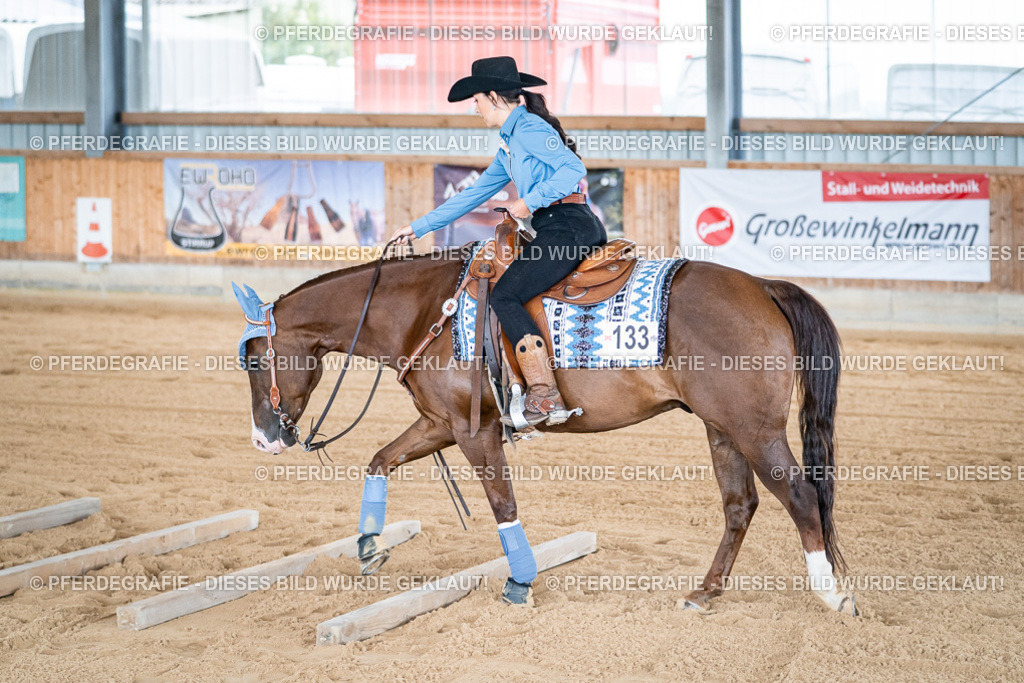 DSC08583 | Pferdegrafie