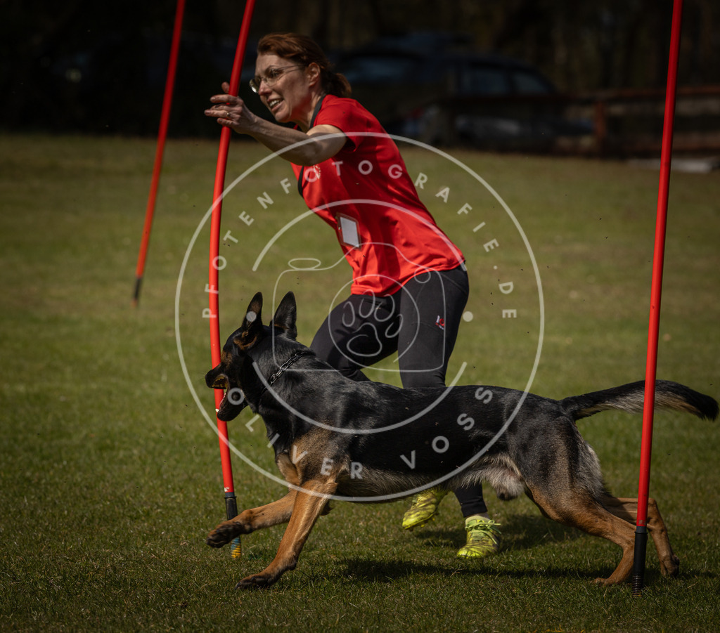 Pfotenfotografie_DV3A4899 | Hundefotografie, Tierfotograf, Pfotenfotografie, Fotoshooting Hund, Hunde Portrait, Hundesport, Hundeportraits, Heideshooting, Hunde, Sportfotograf, Hundefotograf, Turnierhundsport, THS,  - Realisiert mit Pictrs.com