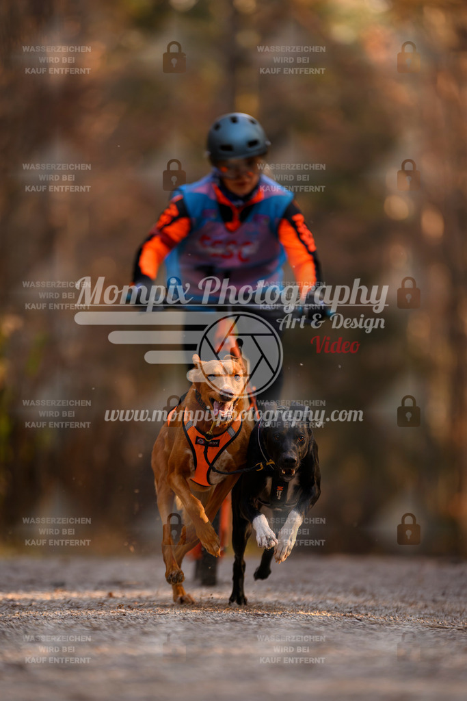 MompixPhotography_DM_AKDM_SO_2025_Scooter-30 | PayLife