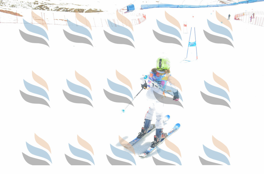 _ELE6250 | holidayphoto