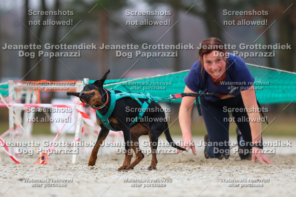 Dog Paparazzi - Strongdog North Mrz26-3629 | Dog Paparazzi Jeanette Grottendiek Fotografie & Videografie - Realisiert mit Pictrs.com