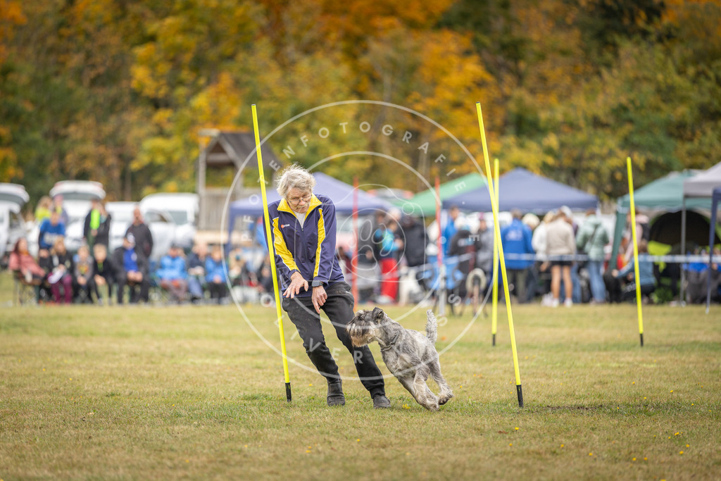 Pfotenfotografie_DV3A5315 | Hundefotografie, Tierfotograf, Pfotenfotografie, Fotoshooting Hund, Hunde Portrait, Hundesport, Hundeportraits, Heideshooting, Hunde, Sportfotograf, Hundefotograf, Turnierhundsport, THS,  - Realisiert mit Pictrs.com