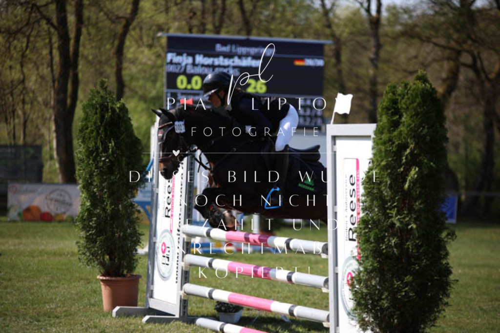 IMGT5688 | pl-fotografie