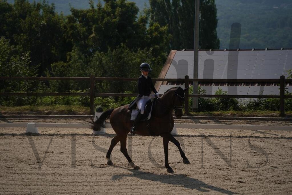 tgbhfreitag (1602) | d.tail Visions - Shop - Realisiert mit Pictrs.com