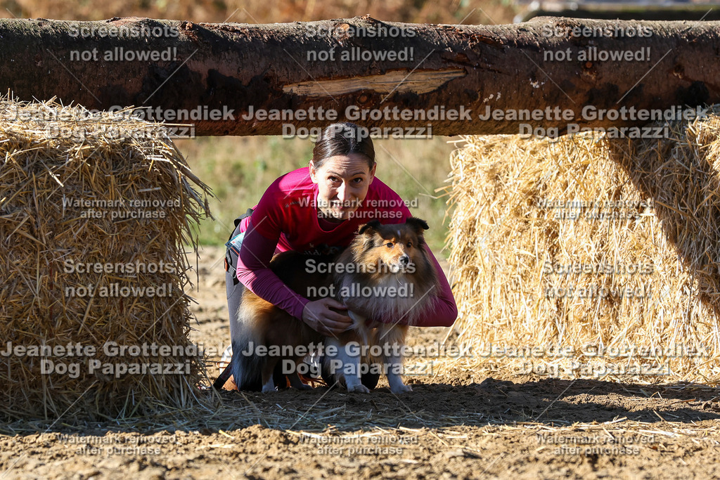 Dog Paparazzi - Strongdog 10-25-2486 | Dog Paparazzi Jeanette Grottendiek Fotografie & Videografie - Realisiert mit Pictrs.com