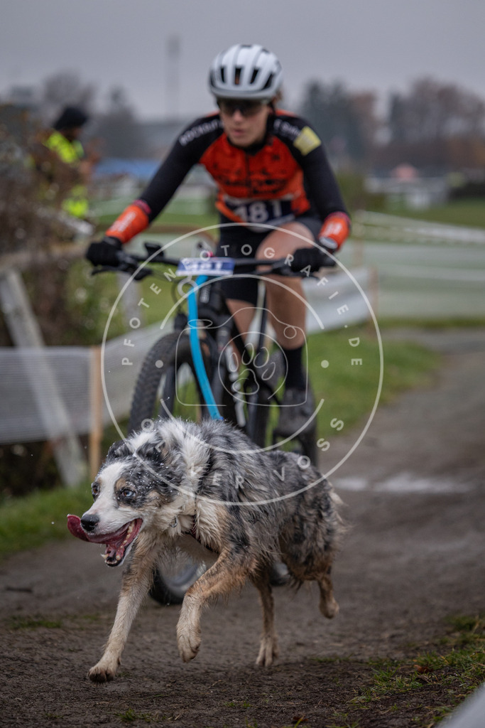 CaniXpix_0L8A1732 | Hundefotografie, Tierfotograf, Pfotenfotografie, Fotoshooting Hund, Hunde Portrait, Hundesport, Hundeportraits, Heideshooting, Hunde, Sportfotograf, Hundefotograf, Turnierhundsport, THS,  - Realisiert mit Pictrs.com