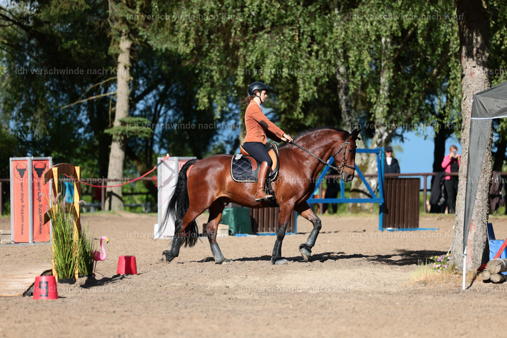 KlasseL_Stoibphotography_CAM24069.JPG | working equitationturnier fotograf videograf stoibphotography marixx film working equitation deutschland reitsport turnierfotografie eventfotografie equestrian events