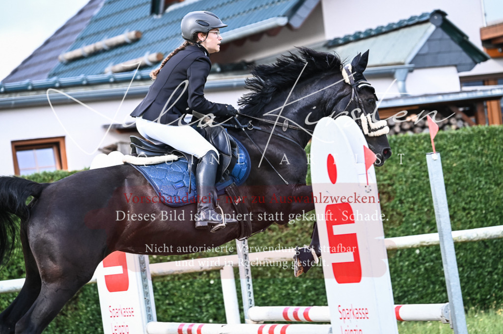 DSC_7888 | Pferde- und Turnierfotografie in Westsachsen. Pferdeportraits, Auftragszeichnungen und intuitive Kunst.