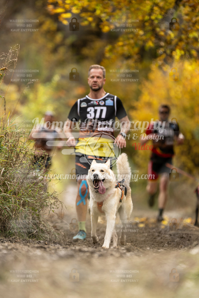 MompixPhotography_ICF_WC_2024_SA_Run_-325 | PayLife