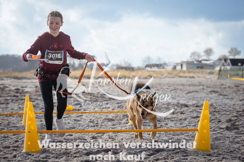 1258_ZZ99746 | kk-dogfotos