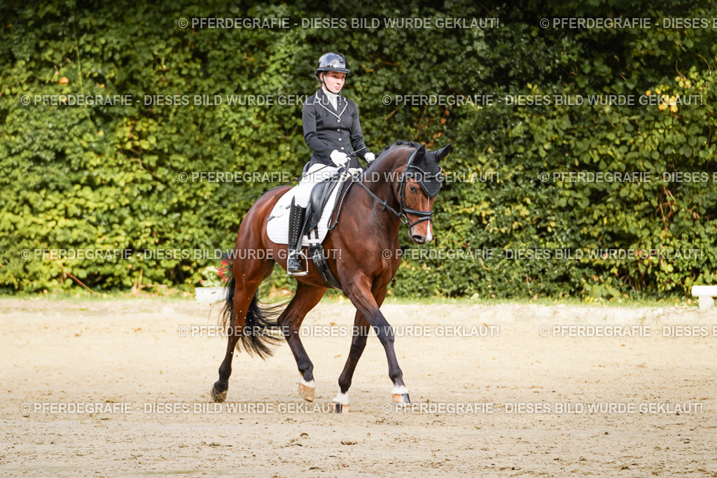 DSC09302 | Pferdegrafie