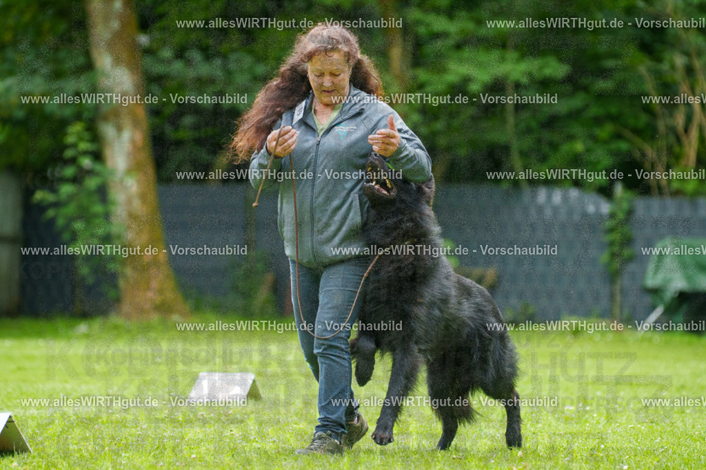 @allesWIRTHgut_Tierfotografie - www.allesWIRTHgut.de - 7R501756 | Professionelle Tierfotografie in Mönchengladbach von Daniel Wirth (allesWIRTHgut). Liebevolle & natürliche Bilder von Hunden & Katzen für unvergessliche Erinnerungen.