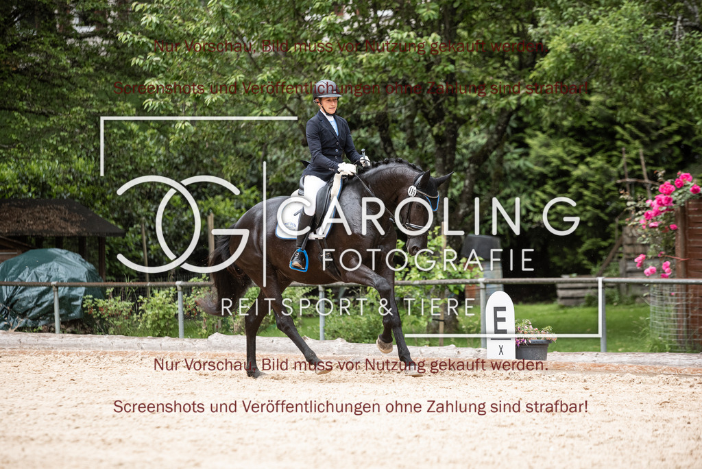 DSC_3072 | Turnierfotografin Carolin Gieschke,Reitsport Turnierfotografie Carolin G Fotografie | Turnierfotos aus Kirchheim/Teck, Esslingen, Stuttgart und dem Bodenseekreis