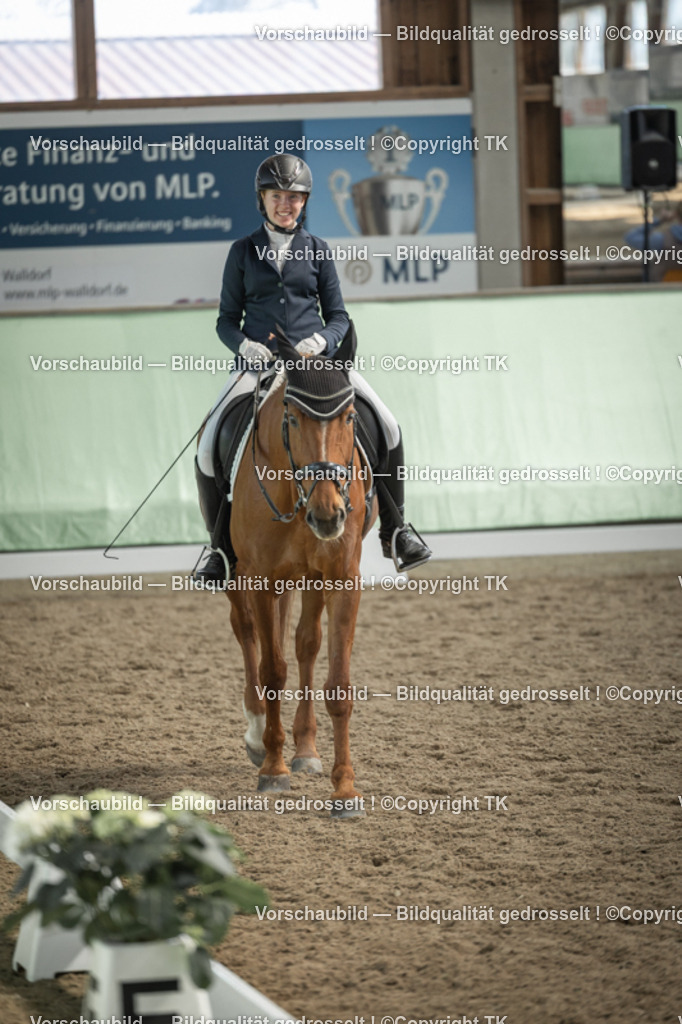 _D5A5779 | Emotionale Pferde- & People-Fotografie rund um Heidelberg, Leimen & Umgebung. Natürliche Fotos von Pferd, Mensch & Familie. Jetzt Termin sichern!