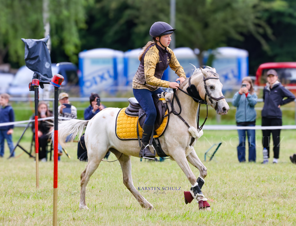 1B3A0029 | Reitsport Reiten