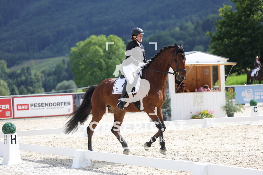 0P6A6174 | Willkommen bei Brunnmayr - Design & Fotografie – Ihrem Spezialisten für Reitturniere und Pferdeveranstaltungen in Oberösterreich, Salzburg und Bayern! Seit über 17 Jahren sind wir leidenschaftlich dabei.