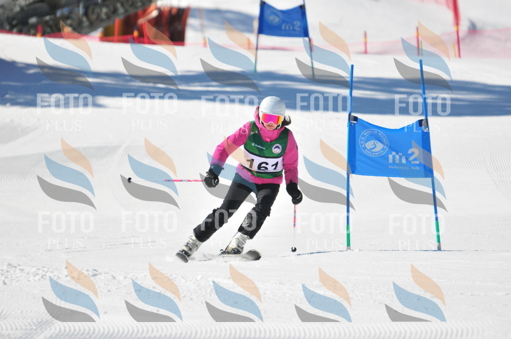 C4126 | holidayphoto