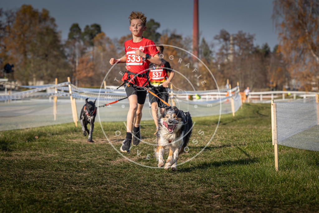 CaniXpix_0L8A8928 | Hundefotografie, Tierfotograf, Pfotenfotografie, Fotoshooting Hund, Hunde Portrait, Hundesport, Hundeportraits, Heideshooting, Hunde, Sportfotograf, Hundefotograf, Turnierhundsport, THS,  - Realisiert mit Pictrs.com