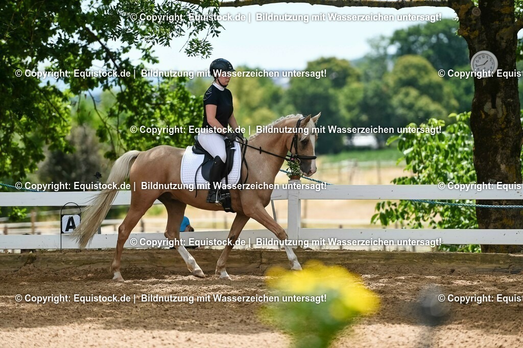 20230715_09_Dressur-WB_0513 | equistock