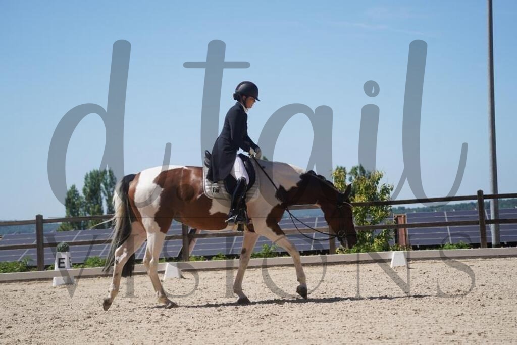 tgbhsonntag (1248) | d.tail Visions - Shop - Realisiert mit Pictrs.com