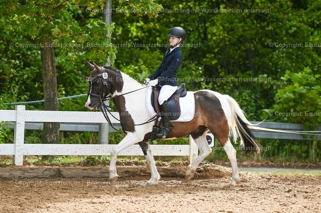 20230716_10-2_Reiter-WB Schritt - Trab - Galopp_0167 | equistock