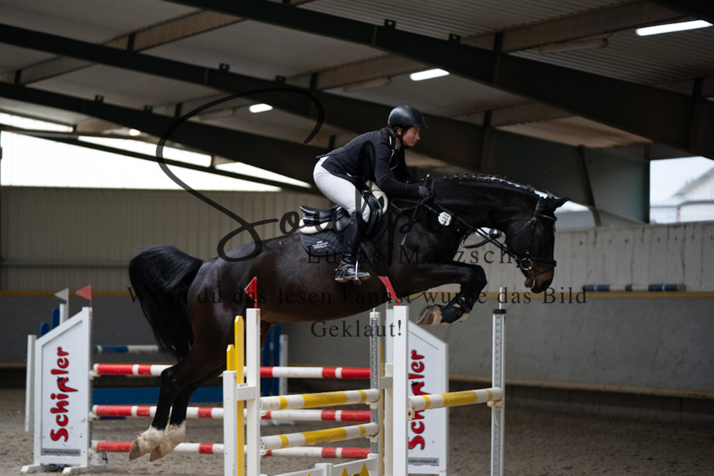 A7V08571 | Pferdefotograf