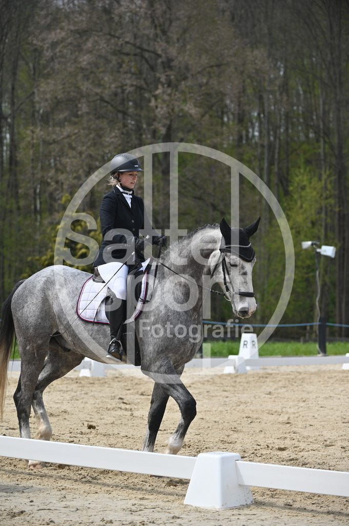 DSC_3539 | sattelsport - Realisiert mit Pictrs.com