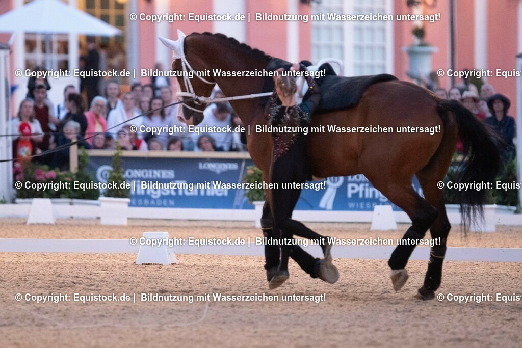 20230527_Voltigieren_NASPA_Flutlicht_0426 | equistock