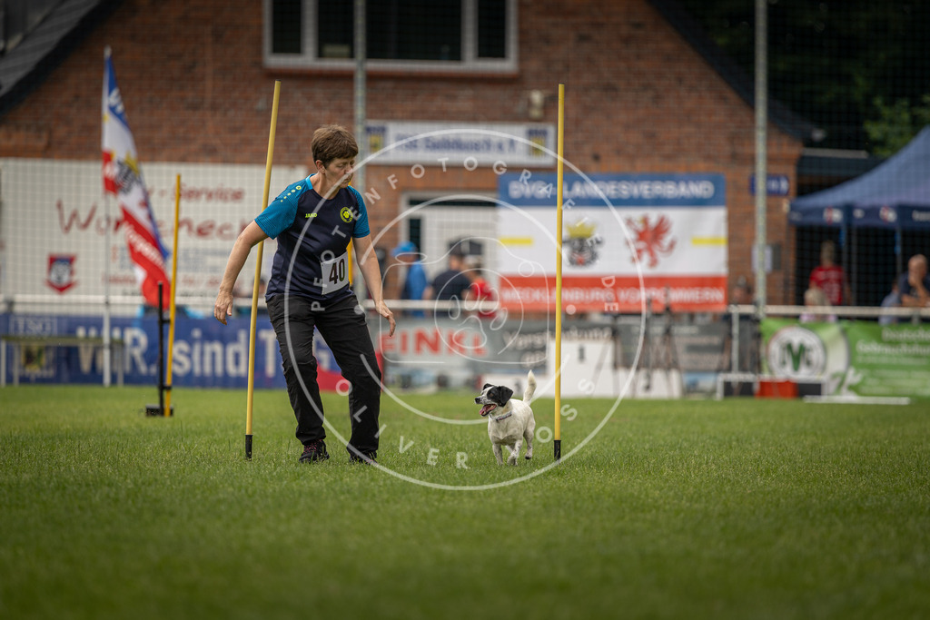 Pfotenfotografie_DV3A2826 | Hundefotografie, Tierfotograf, Pfotenfotografie, Fotoshooting Hund, Hunde Portrait, Hundesport, Hundeportraits, Heideshooting, Hunde, Sportfotograf, Hundefotograf, Turnierhundsport, THS,  - Realisiert mit Pictrs.com