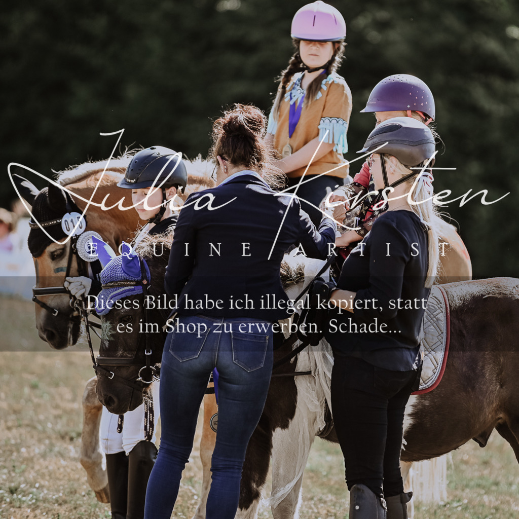 DSC_8950 | Pferde- und Turnierfotografie in Westsachsen. Pferdeportraits, Auftragszeichnungen und intuitive Kunst.