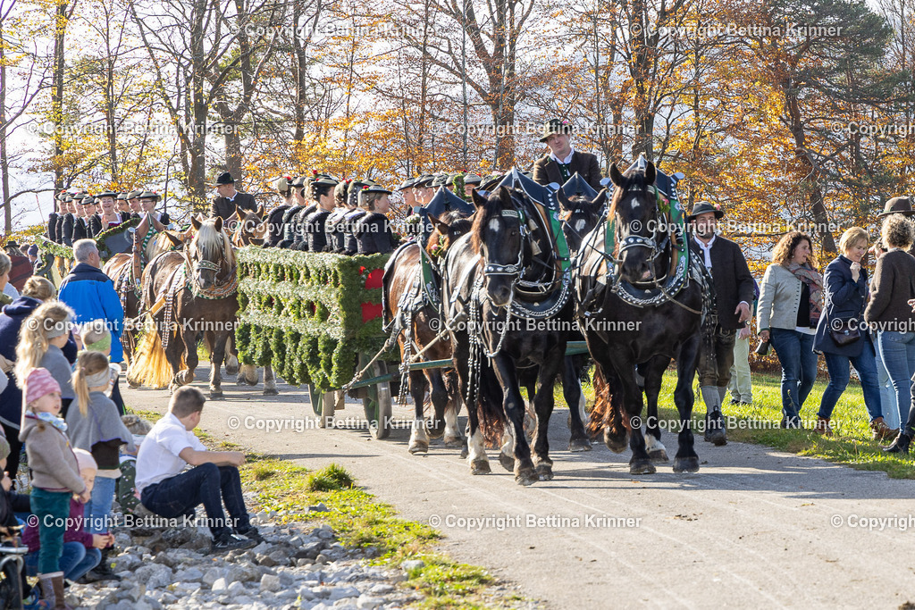 LBT24-1164 | foto-bettina-krinner - Realisiert mit Pictrs.com