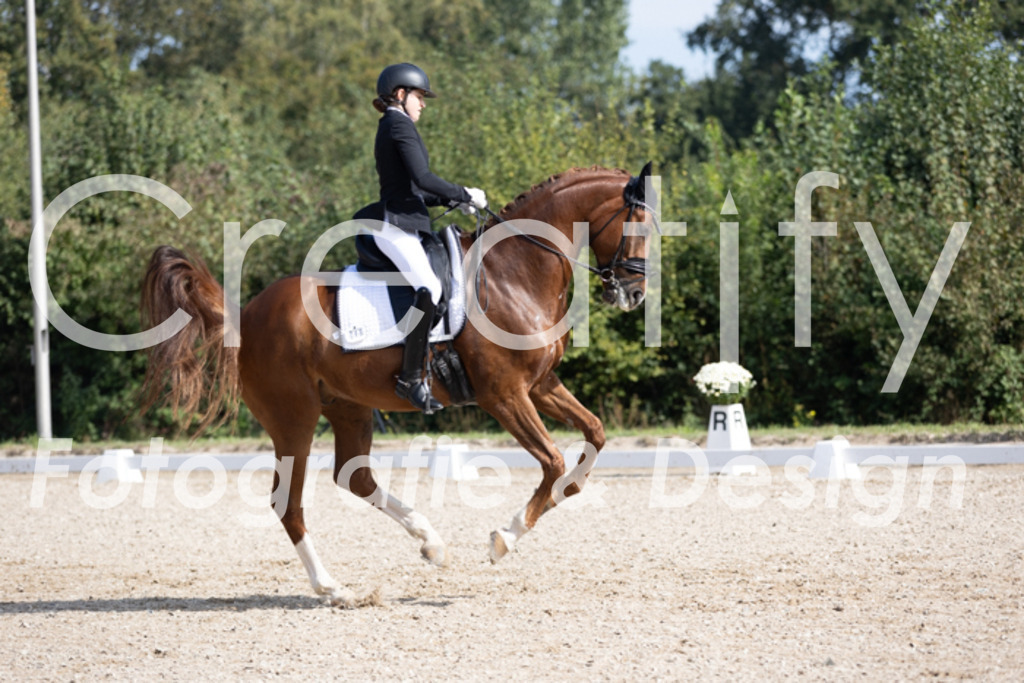 IMG_3193 | Creatify Fotografie